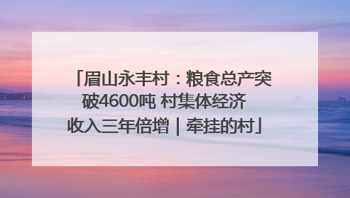 眉山永丰村：粮食总产突破4600吨 村集体经济收入三年倍增｜牵挂的村